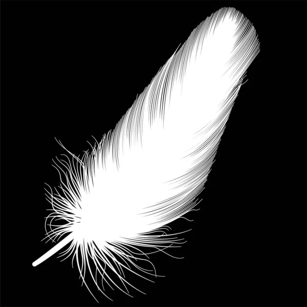 Feather Icon Black White Illustration — Stockvector