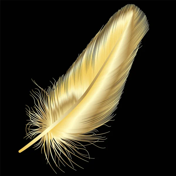 黑色背景上的羽毛 — 图库矢量图片