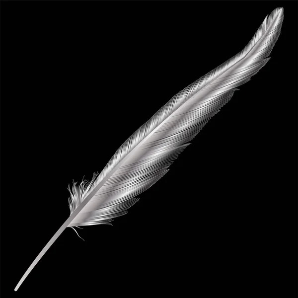 Feather Black Background — Stock Vector