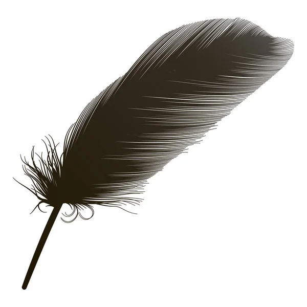 Feather Icon Black White Illustration — Stock vektor