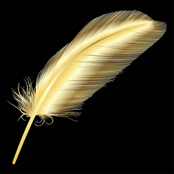 Feather Black Background — Stock Vector