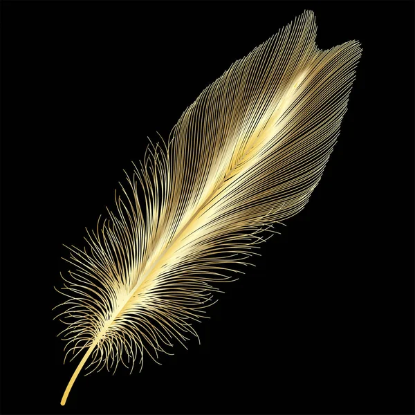 Plume Sur Fond Noir — Image vectorielle