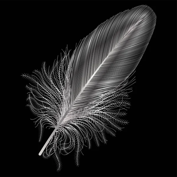 深色背景上的黑色羽毛 — 图库矢量图片