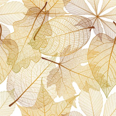 sonbahar yaprakları seamless modeli. vektör çizim