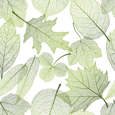 Elle çizilmiş yapraklarla kusursuz desen. vektör illüstrasyonu.