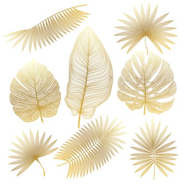 Tropikal yaprak seti. vektör illüstrasyonu