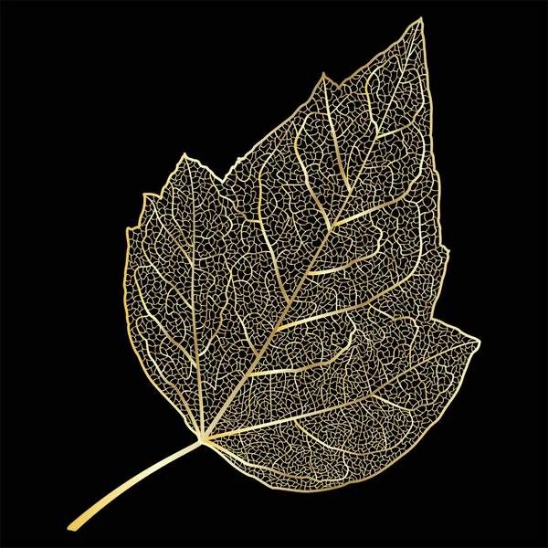 Podzimní Listí Izolované Černém Pozadí — Stockový vektor