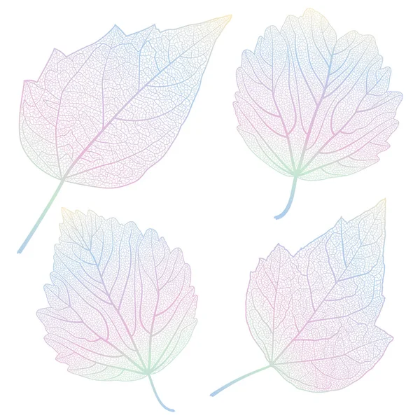 Reihe Von Herbstblättern Isoliert Auf Weißem Hintergrund — Stockvektor