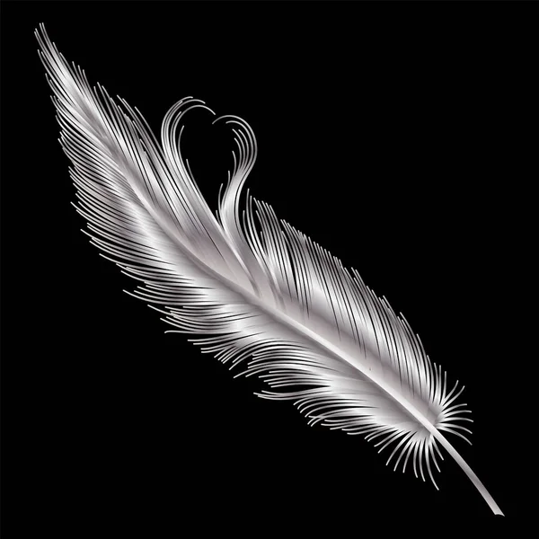 Feather Isolated Black Background — Stock Vector