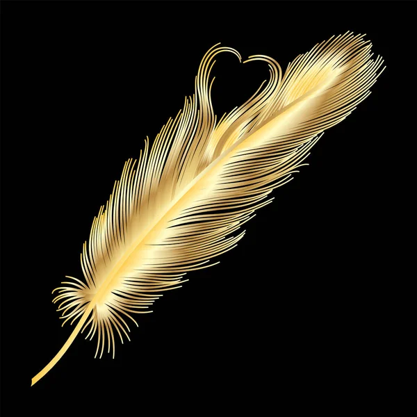 Vector Illustration Bird Feather Black Background — ストックベクタ