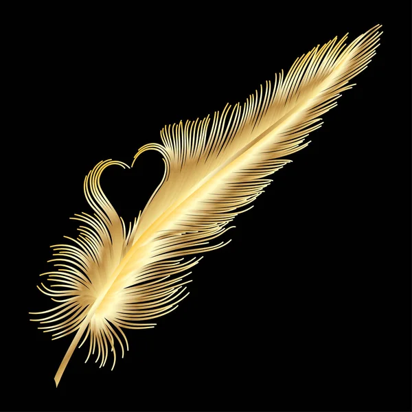 鳥の羽のベクトル図 — ストックベクタ