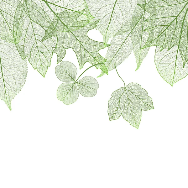 Beyaz Arkaplanda Yeşil Yapraklar — Stok Vektör