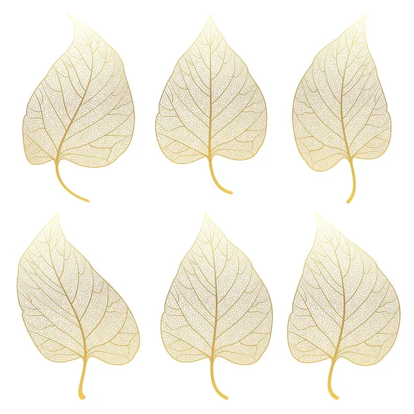 Beyaz Arkaplanda Izole Edilmiş Sonbahar Yaprakları — Stok Vektör