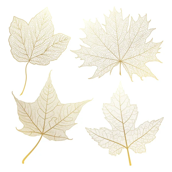 Hojas Otoño Aisladas Sobre Fondo Blanco — Vector de stock