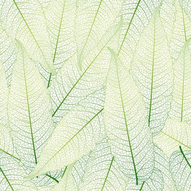 Yeşil yaprak dokusu. kopyalama alanı olan arkaplan.