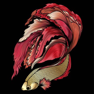 Renkli bir koi balığının vektör çizimi