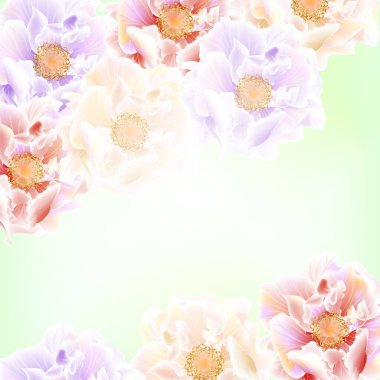 güzel pembe güller arka plan