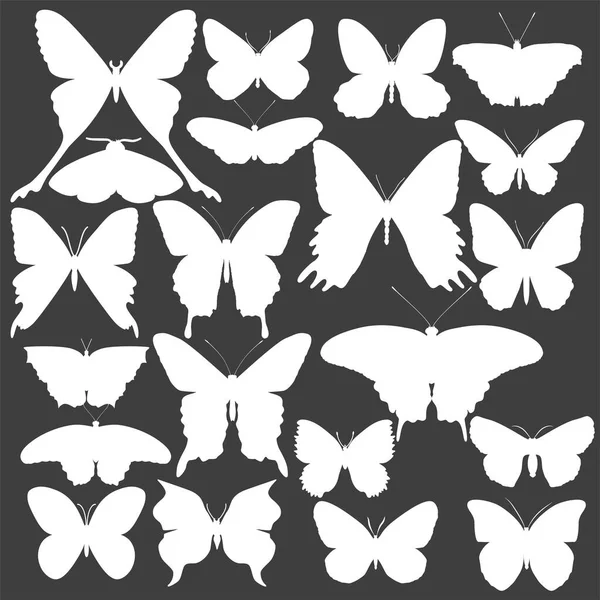 Satz Schmetterlinge Vektorillustration — Stockvektor