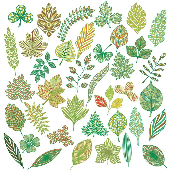 Set Leaves Hand Drawn Vector Illustration — 스톡 벡터