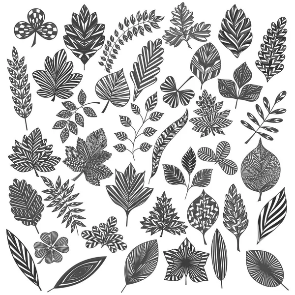 Set Leaves Hand Drawn Vector Illustration — 스톡 벡터