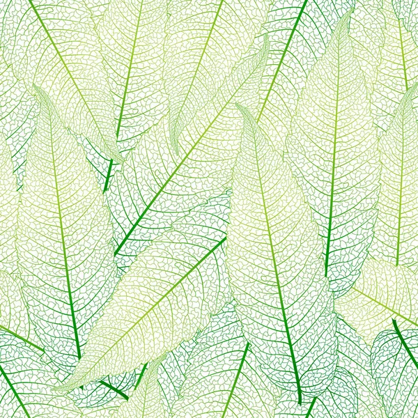 Green Leaf Texture Background Copy Space — Vettoriale Stock