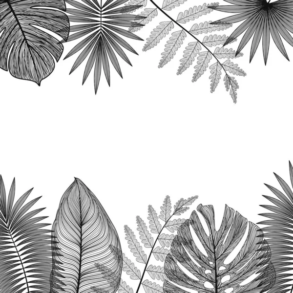 Hojas Tropicales Ramas Palma Ilustración Vectorial — Vector de stock