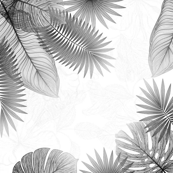 Vector Illustration Palm Branches — Vector de stock