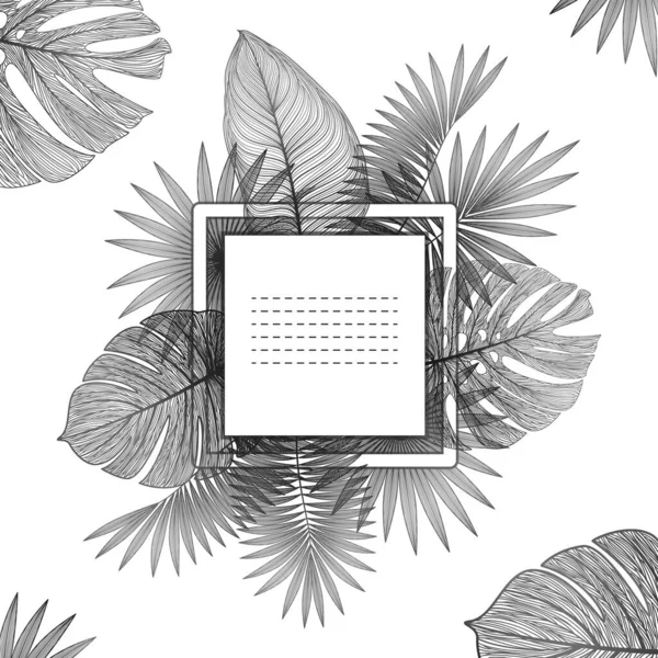 Тропічні Листя Пальмові Гілки Векторна Ілюстрація — стоковий вектор