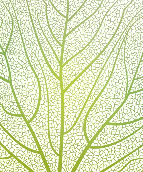 Vector Illustration Background Set Green Leaves — Vetor de Stock