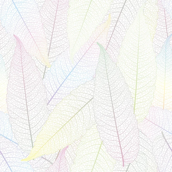 Beyaz arkaplanda sonbahar yaprakları