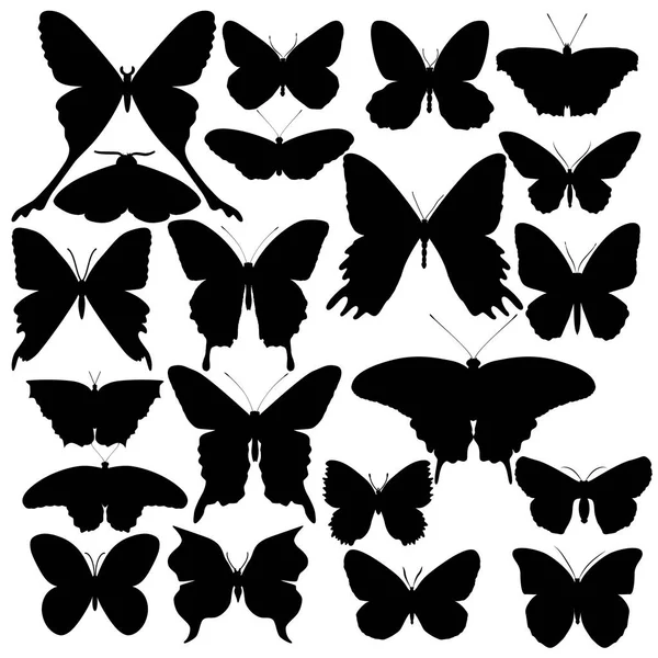 Set Butterflies Isolated White Background — Stock Vector