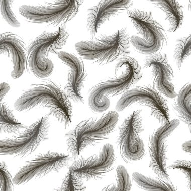 Tüy deseni arkaplan vektörü illüstrasyonu