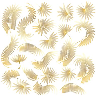 Tropikal yapraklar, illüstrasyon, beyaz arkaplan üzerindeki vektör.