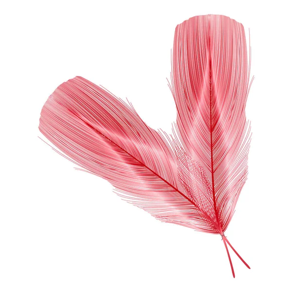 Red Bird Feather White Background — ストックベクタ