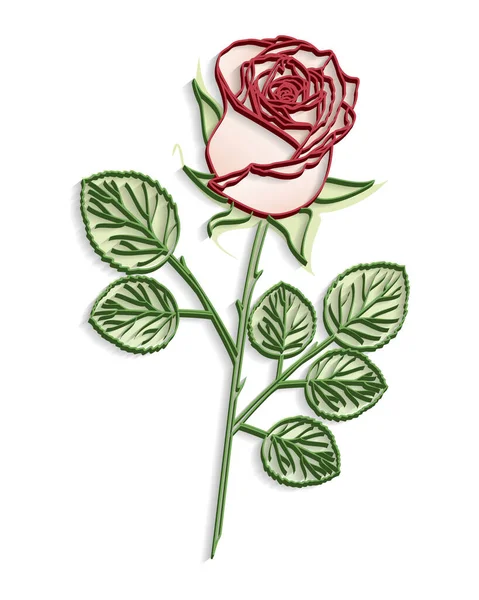 Krásné Růže Růží Izolované Bílém Pozadí — Stockový vektor