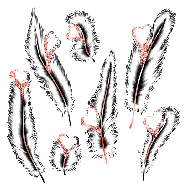 Feather Feathers Hand Drawing — Vector de stock