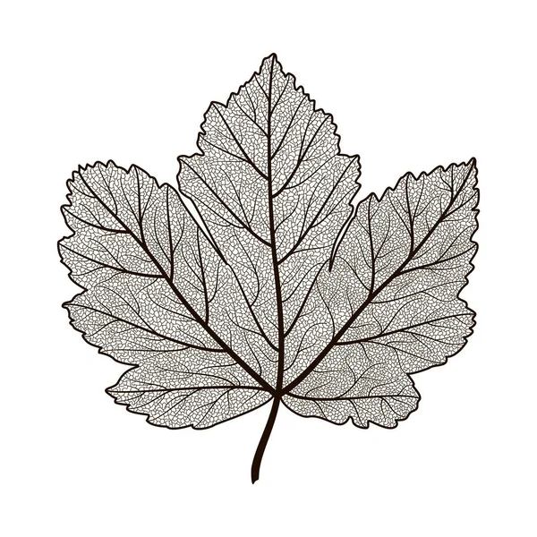 Vektorillustration Eines Baumblattes — Stockvektor