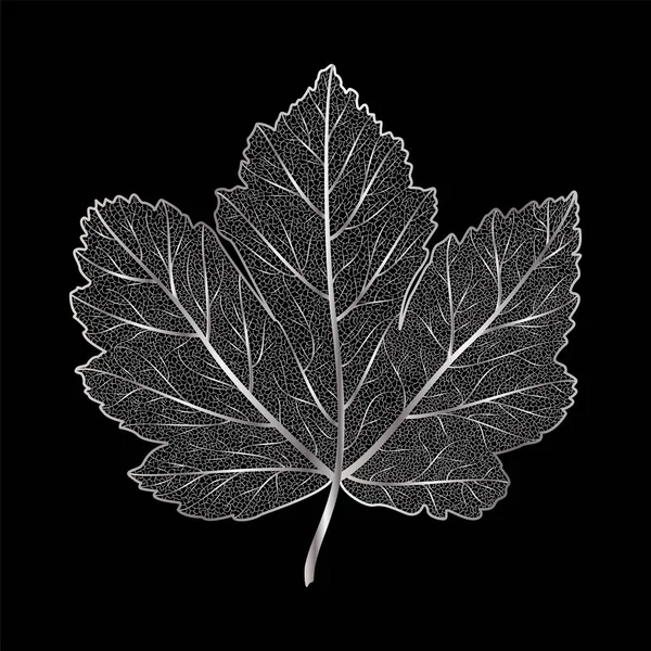 Черный Белый Кленовый Лист Растения Заднем Плане — стоковый вектор