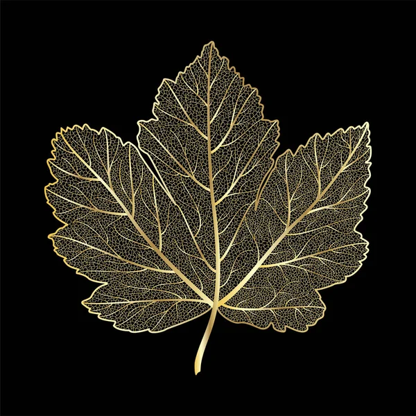 Black White Leaf Oak Isolated Gray Background Autumn Leaves Berries — Vetor de Stock