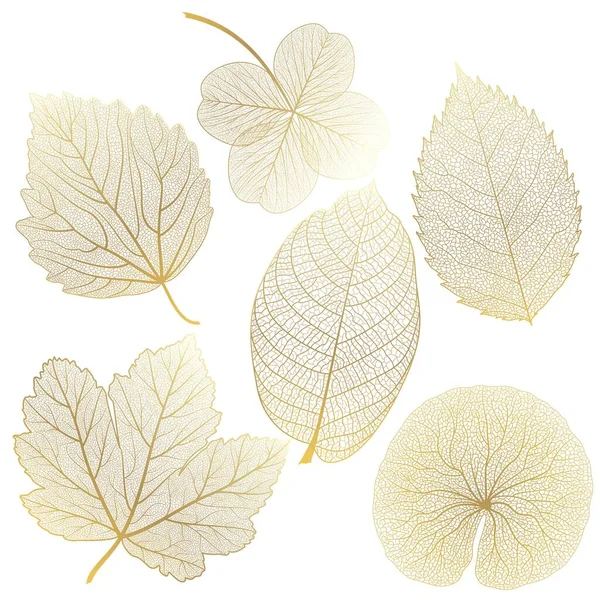 Set Yellow Leaves Isolated White — Stock vektor