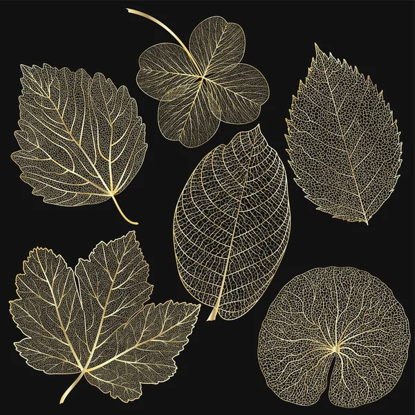Autumn Leaves Black White — Image vectorielle
