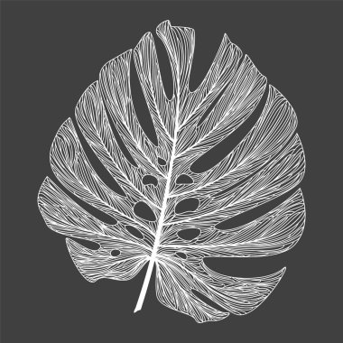 El yapımı tüyler. Boyama kitabı veya duvar kağıdı için mürekkep vektör çizimi