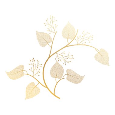 Beyaz arka planda vektör çiçek tasarımı elementleri. eps10