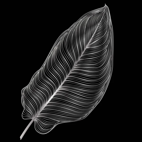 Black Feather Dark Background — Stock Vector