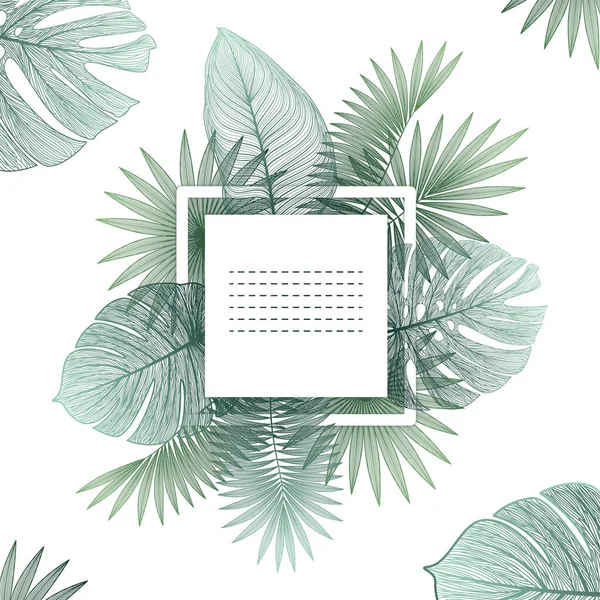 Monstera Tropical Plants Palm Leaves Summer Botanical Background Vector Illustration — Stock vektor