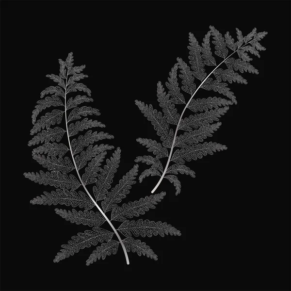 Μαύρο Και Άσπρο Floral Σχέδιο Ακουαρέλα Φύλλα Ζωγραφισμένα Στο Χέρι — Διανυσματικό Αρχείο