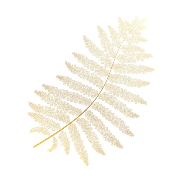 Green Fern Branch White Leaves Isolated Background — Image vectorielle