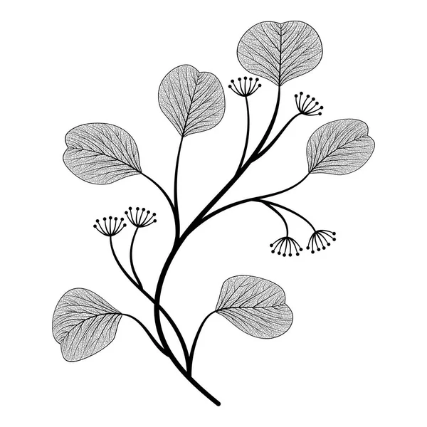 Векторна Ілюстрація Ботанічна Ботанічна Іконка — стоковий вектор