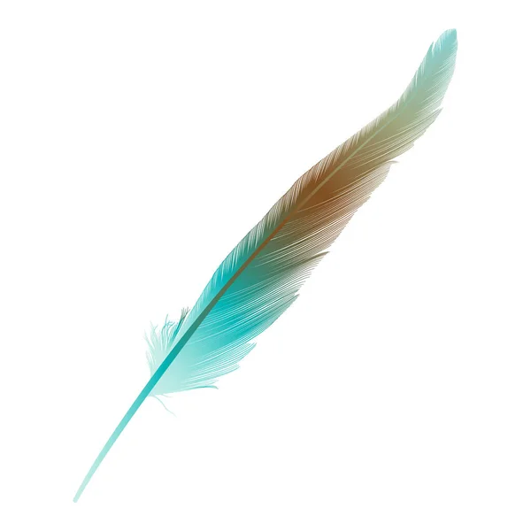 Vector Illustration Bird Feather Icon — Image vectorielle