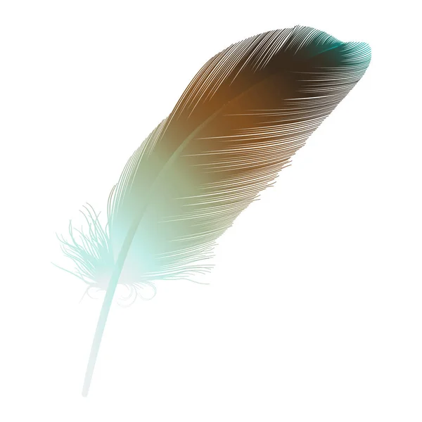 Vector Illustration Bird Feather Icon — Stock Vector